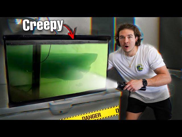 Saving SHARK LIVING In ABANDONED Aquarium!