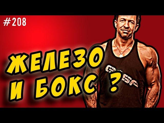 совместить бодибилдинг и бокс - железо и единоборства