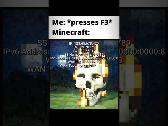 Minecraft F3 be like: