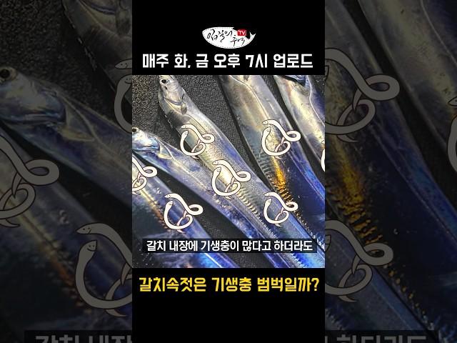 갈치속젓은 기생충 범벅 아닌가요?