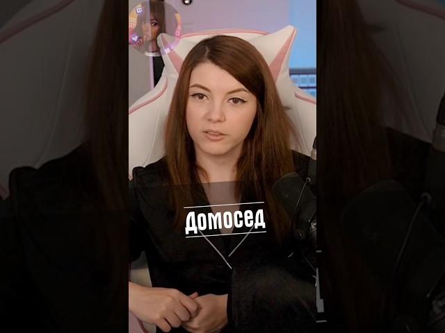 Домосед