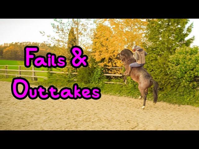 Fails & Outtakes  Funny Horse Fails