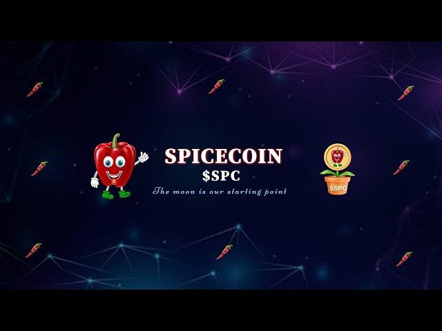 How to Buy Spice Coin Using Poocoin