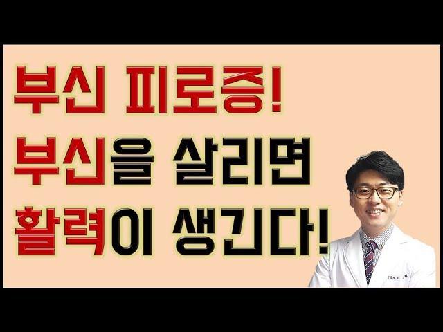 만성피로-스트레스- 부신피로증 부신을 살리면 활력이 생긴다