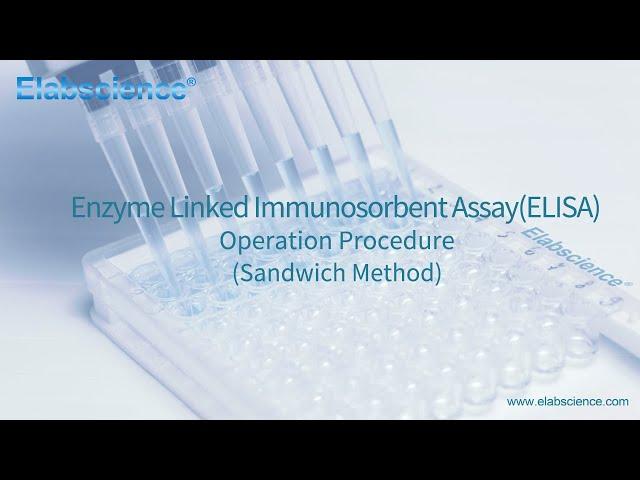 Enzyme Linked Immunosorbent Assay (ELISA) Operation Procedure (Sandwich Method) - Elabscience