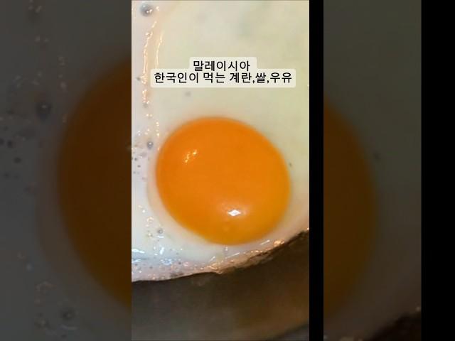 말레이시아 단톡방 질문 top 3. 한국에서 먹던 맛이 안나요