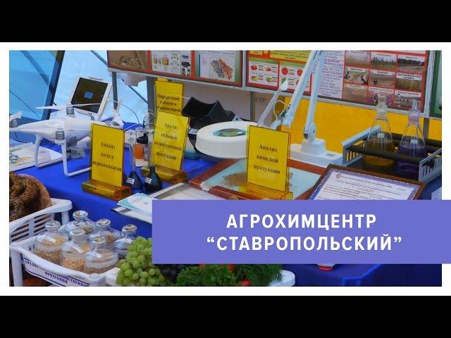 Технологии будущего повышают урожайность ставропольских полей