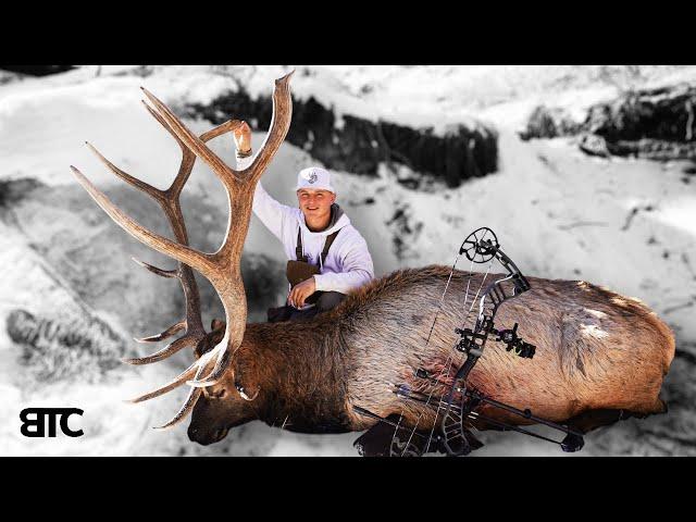 LATE ARCHERY ELK HUNT | WILL TO SURVIVE