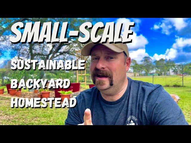 How To Be SUSTAINABLE On A 1/2 Acre Homestead