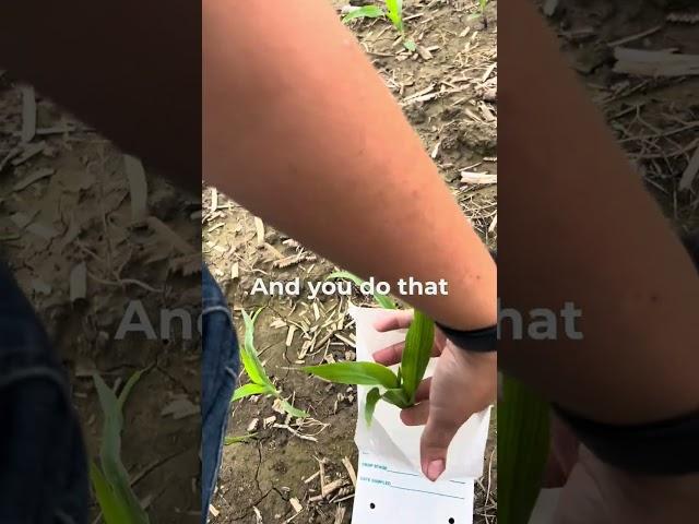 how to pull a tissue sample