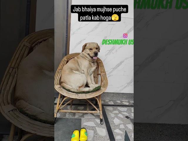 https://youtube.com/shorts/XKn0THUi7Aw?si=NKj9g8Q40t1gZs_f