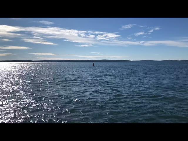 Swans Island, Maine