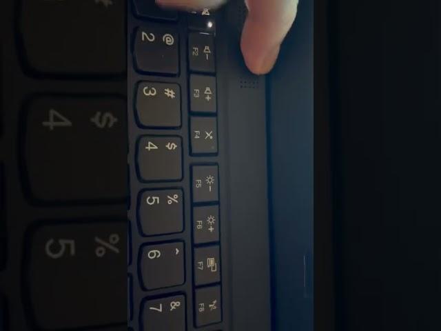 Mute button not working