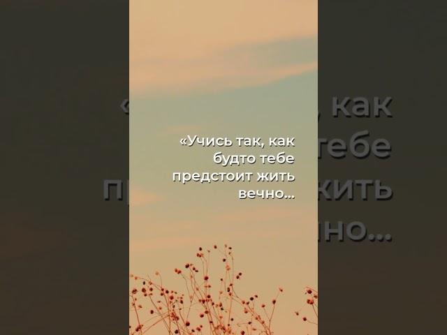 Мудрость веков: Живи сегодня, учись завтра