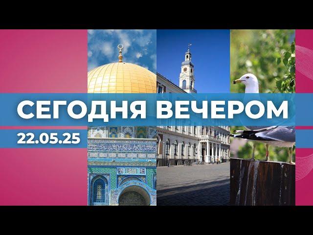 Строительство мечетей | Компенсации в РД | Убийство чаек