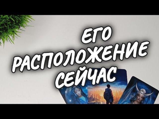 МУЖЧИНА о ТЕБЕ, о СЕБЕЕГО РАСПОЛОЖЕНИЕ СЕЙЧАСрасклад таро #чтодумаетобомнеон #shorts #гадание