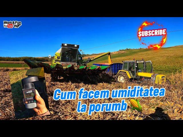 Recoltăm porumbul - ce umiditate și ce producție scoatem #Agriculture #Claas #Renault #JohnDeere