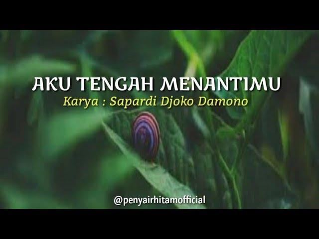 Musikalisasi Puisi - Aku Tengah Menantimu (Sapardi Djoko Damono) || Penyair Hitam