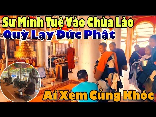 Trưa Nay Sư Minh Tuệ Vào Chùa Lào Quỳ Lạy Đức Phật Ai Củng Khóc