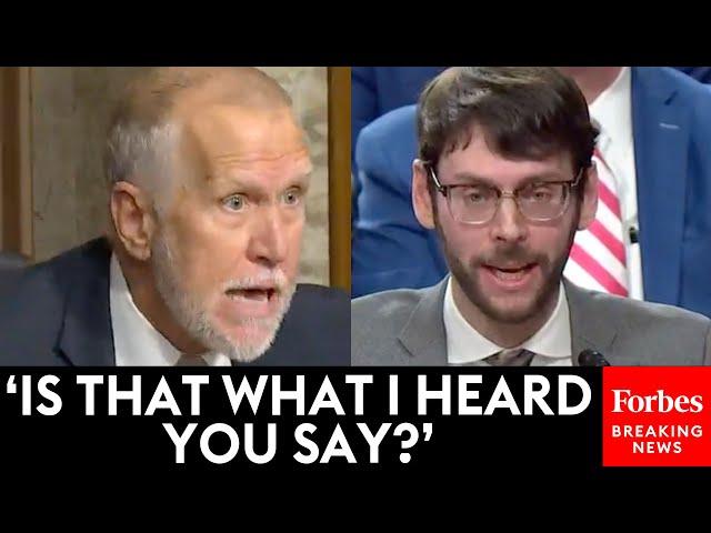 'I'm Reading Exactly What President Barack Obama Did': Thom Tillis Grills Anti-Deportation Witness