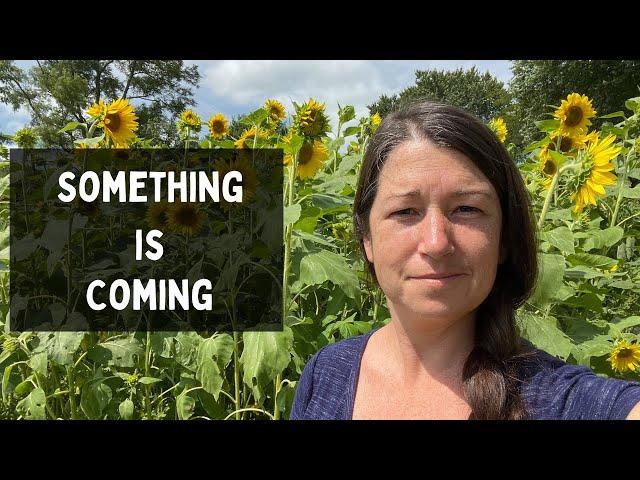 Anxious and Waiting | Homestead VLOG