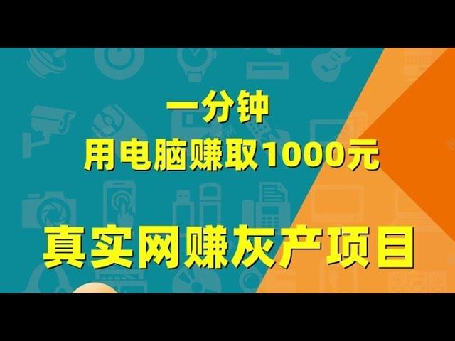 灰产项目 | 网络赚钱 | 网赚 毫无风险，教你五分钟就可以赚到3000。灰产跑分跑货真实演示（真实测试网站）