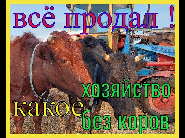 Продал последнюю дойную корову Баженит сбегает из глухой Сибирской деревни в большой город на пенсию