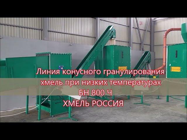 Hop cone pelleting line at low temperatures, production of hop pellets, BN 800 hops Russia