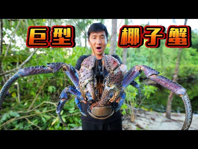 《所罗门群岛》第4集：28小时荒野挑战，满山遍野布陷阱，只为捕获巨型椰子蟹   #荒岛探索 #潜水 #赶海 #椰子蟹  #抓龙虾 #荒野挑战 #抓螃蟹 #ocean #underwaterfinds
