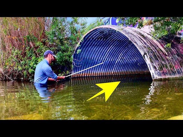 The STRANGEST MONSTER is in a CITY POND?!! (UNREAL)