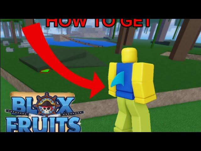 HOW TO GET SHARK FIN ON YOUR  BACK! (ROBLOX BLOX FRUIT)