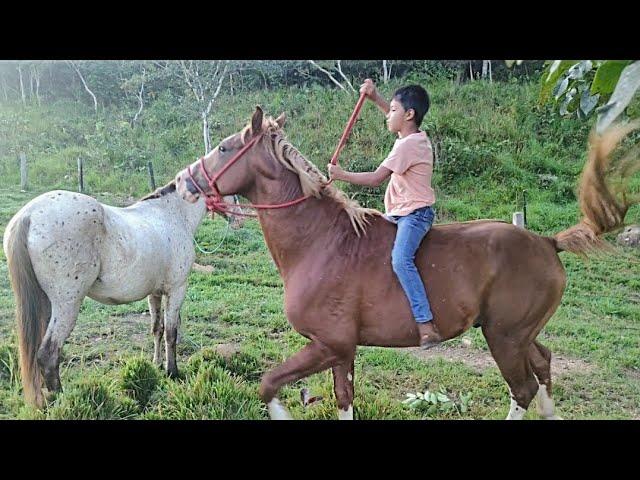 FAZENDINHA - Buscando os cavalos com o João Pedro