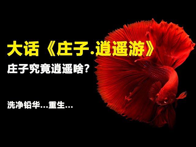 大话《庄子.逍遥游》|一篇洗净灵魂的道家文章能令人褪去铅华逍遥人间