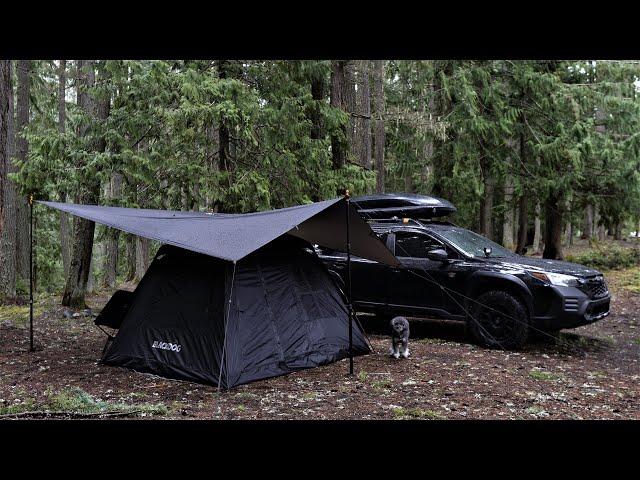 Blackdog Pop-Up Instant Tent Camping in the Rain with Pepper / Subaru Outback Wilderness