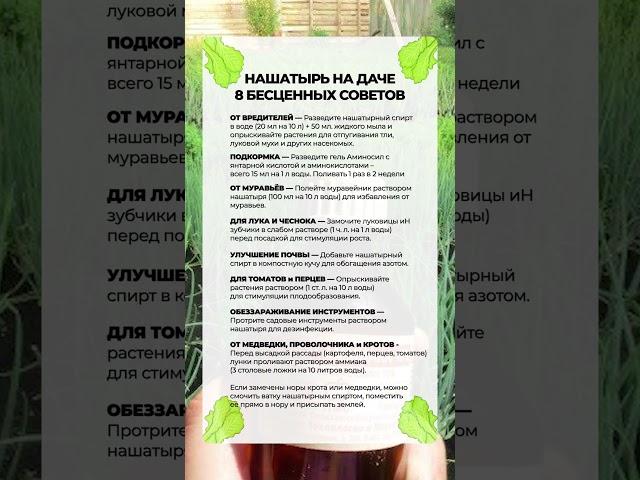 8 СПОСОБОВ как применить НАШАТЫРЬ на даче для ЛУЧШЕГО урожая? #огород #сад #урожай