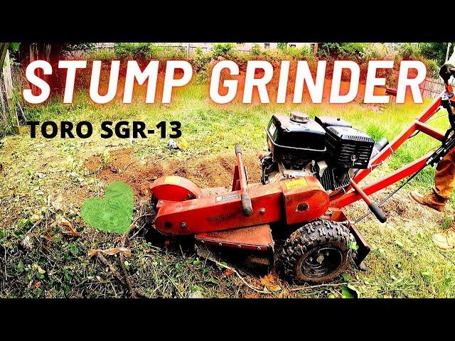 GRINDING TREE STUMPS | HOME DEPORT RENTAL | TORO SGR-13