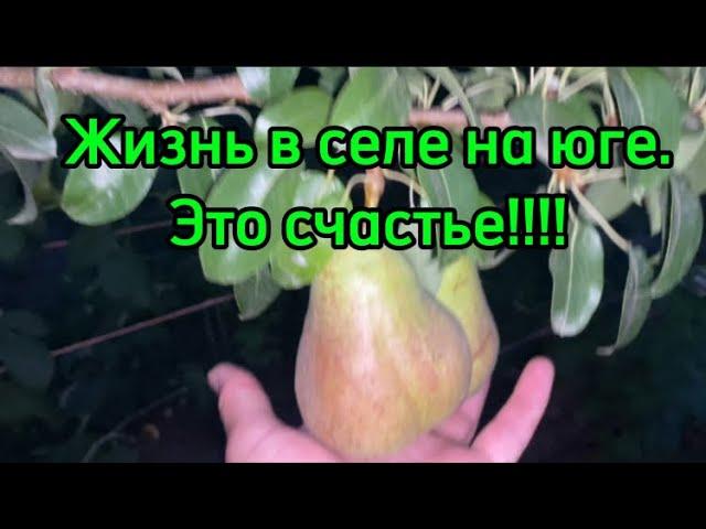 1316️Будни домохозяйки/ Рецепт огонь!!! Надежда, спасибо/Кабачковая икра/