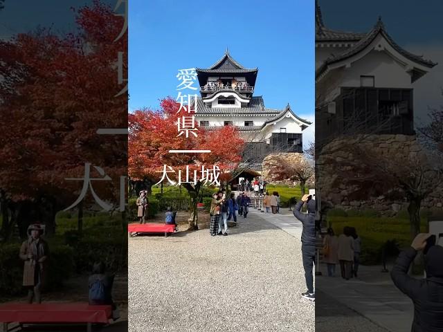 愛知県犬山市にある犬山城へ行ってきました。高さ24メートルにある天守閣からみる景色は絶景です。 #観光 #愛知県 #犬山城 #japanese