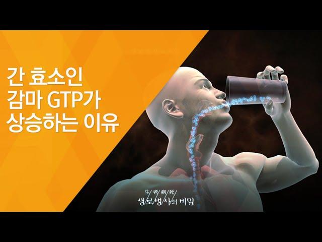 간 효소인 감마 GTP가 상승하는 이유 - (2012.1.28_399회 방송)_아는 만큼 건강해진다, 종합건강검진