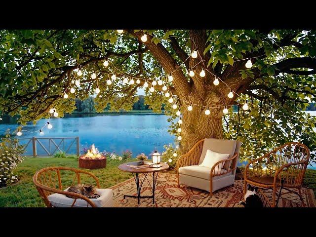 A Sping Night Under The Tree By The Lake  | A Cozy Outdoor Escape With Cats And Peaceful Music