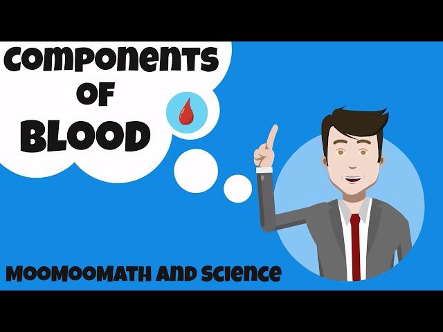 Components of Blood and their function