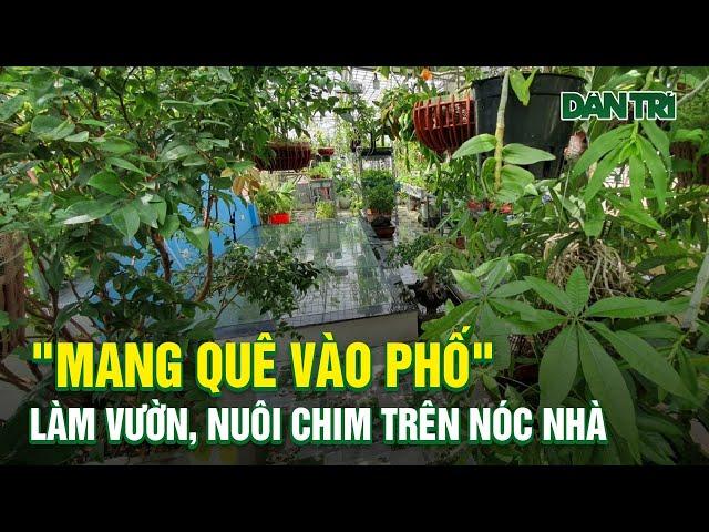 Dân Trí Mới Nhất 23/9 l Kỹ Sư Ở Hà Nội "Mang Quê Vào Phố", Làm Vườn, Nuôi Chim Trên Nóc Nhà