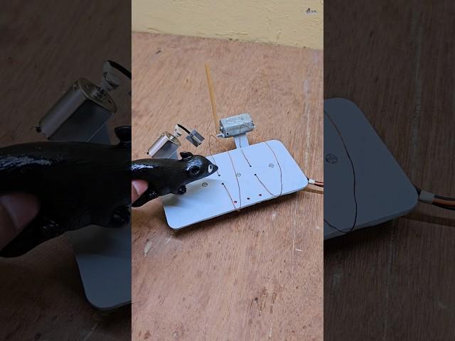 Mouse trap with big stick dc motor massager #electronic #trap #mouse #funny #engineering