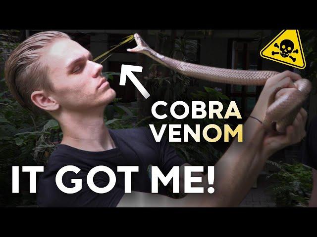 COBRA SPITS VENOM IN MY EYES!!! COBRAS WITH CHRISWEEET