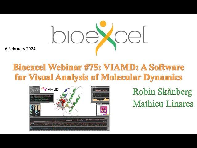 Bioexcel webinar #75: VIAMD: A Software for Visual Analysis of Molecular Dynamics