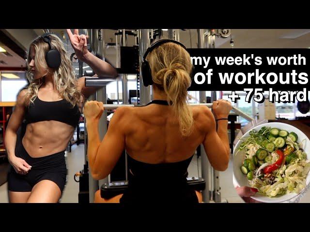 A WEEK OF WORKOUTS: how I gain muscle and stay lean