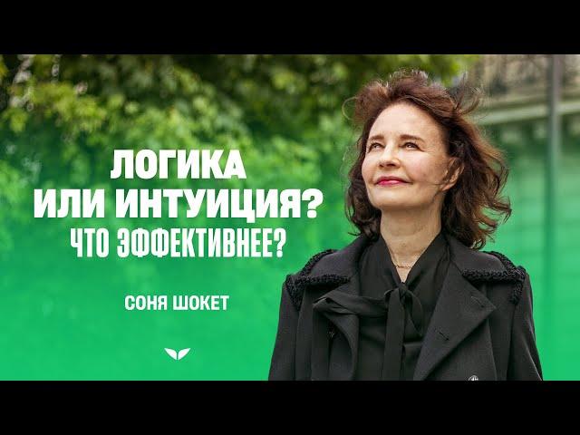 Логика или интуиция: что эффективнее? | Соня Шокет