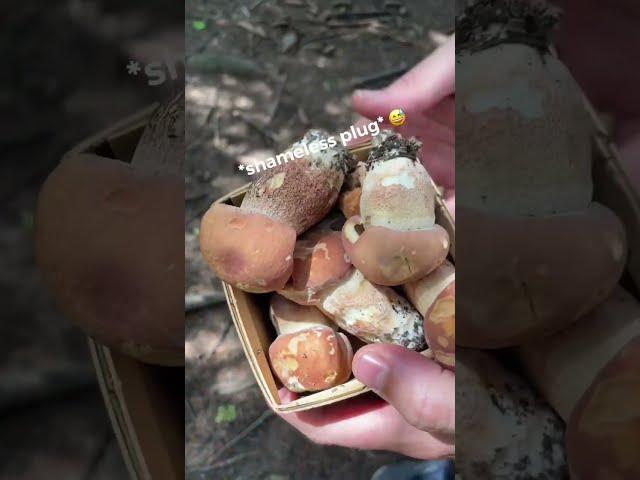 Here’s how we make homemade ravioli with wild mushrooms! #foraging #recipe #wildfood #offgridliving