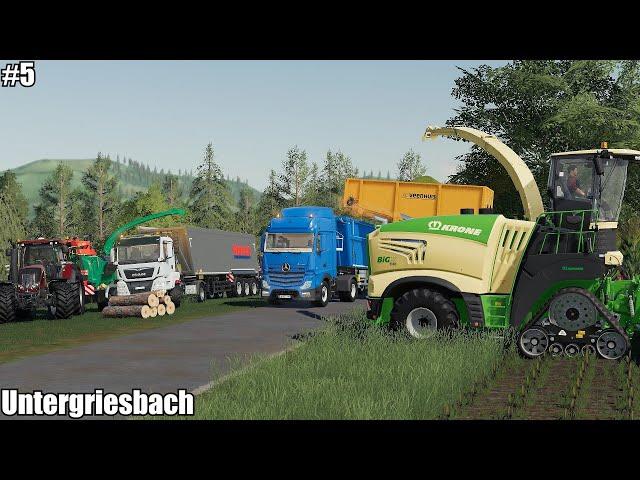  We have a lot of worktodo in Untergriesbach│Untergriesbach│FS 19│Timelapse 5