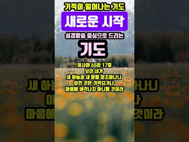 새로운 시작 | 기적이 일어나는 기도 | #말씀조은tv #조현상목사 #목양교회 #성경암송 #큐티 #1분말씀묵상 #기도문